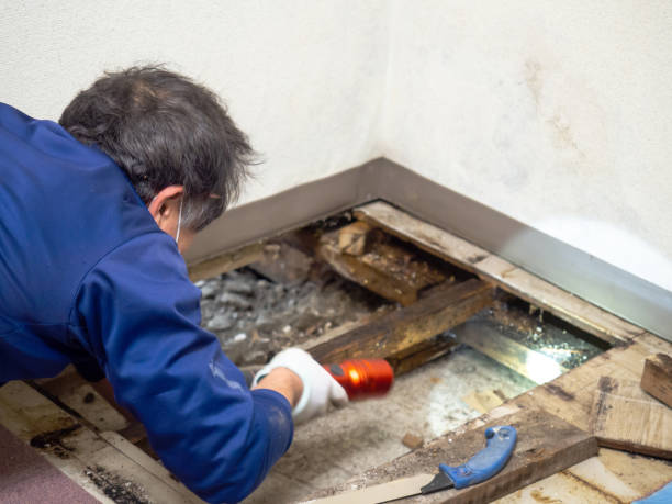 Water Damage Restoration in Bishopville, SC