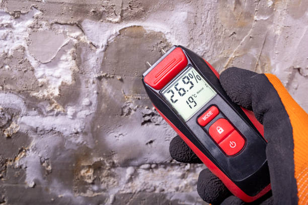 Best Mold Inspection  in Bishopville, SC
