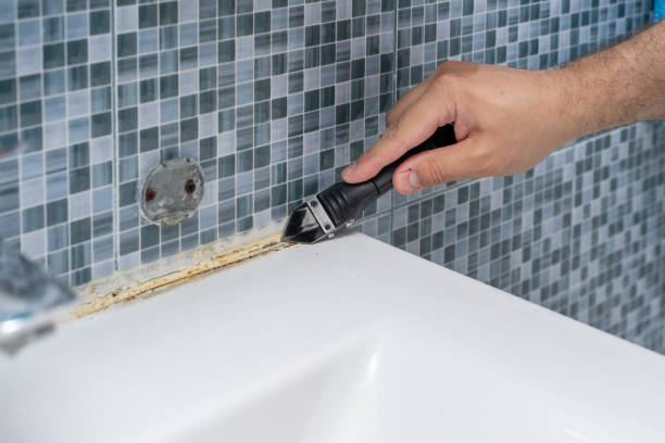 Best Mold Remediation  in Bishopville, SC